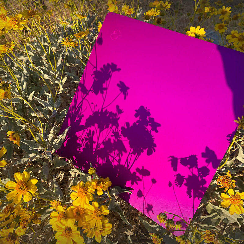 Large Tesla Purple Energy Plate. Inspired by Nikola Tesla!