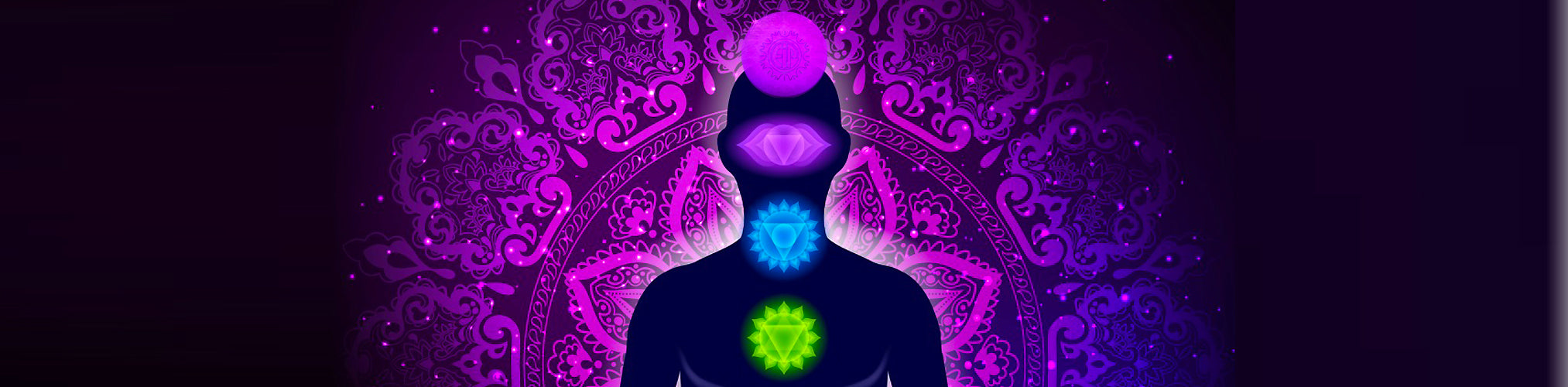 7th Chakra on crown of head with tesla purple energy plate on top