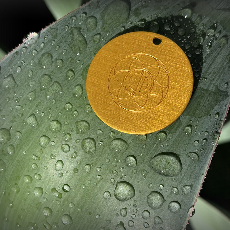 Auric Illumination Disc. Gold circular object with a design on a green surface with water droplets