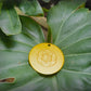 Auric Illumination Disc. Gold circular object with a design on a large green leaf