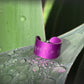 Purple ring with text on a wet green leaf
