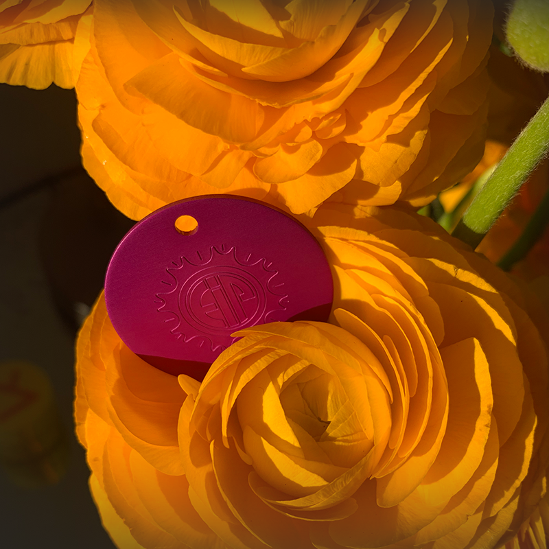 Nikola Tesla Purple Energy Large Disc. Positive Energy