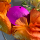 Nikola Tesla Purple Energy Large Disc. Positive Energy