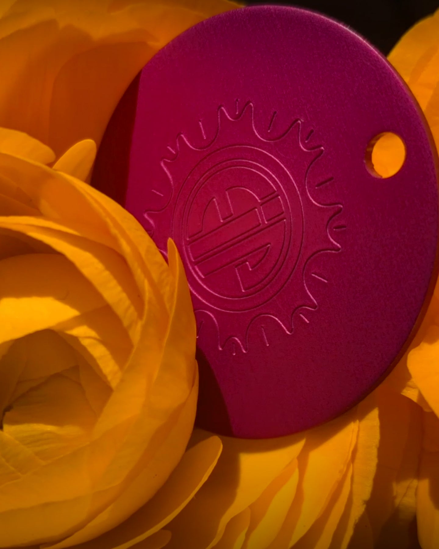 Nikola Tesla Purple Energy Large Disc. Positive Energy