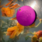 Nikola Tesla Purple Energy Large Disc. Positive Energy
